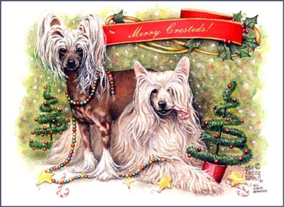 Auguri Natale Con Cani Petsblog